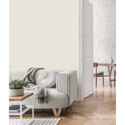 Vymura Santina Trellis Italian Heavyweight Vinyl Wallpaper, White/Silver