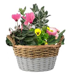 Autumn Garden Basket 20cm