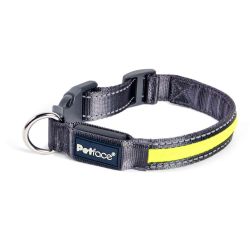 Collar Flashing Yellow Medium