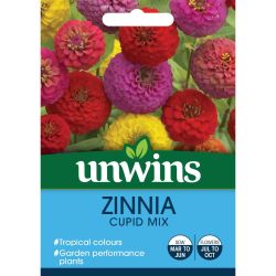 Zinnia Cupid Mix