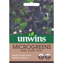 MicroGreens Basil Dark Opal