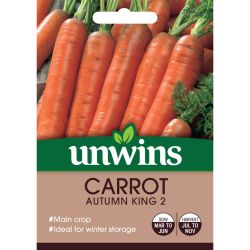 Carrot Autumn King 2