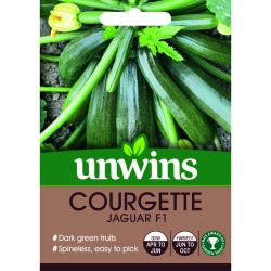 Courgette Jaguar F1