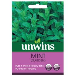 Herb Mint Garden