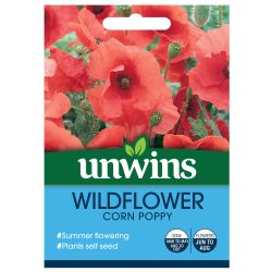 Wildflower Corn Poppy