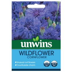 Wildflower Cornflower