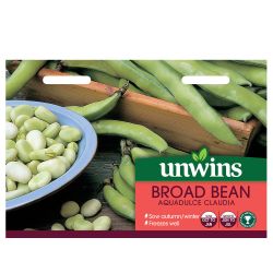 Broad Bean Aquadulce Claudia