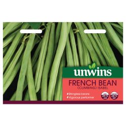 Climbing French Bean Isabel