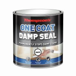 Thompson's 250ml One Coat Damp Seal