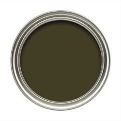 Dulux 5LtWeathershield Deep Olivine