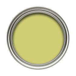 Dulux 50ml Easycare Kids Green Fizz
