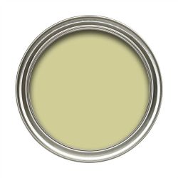 Dulux 50ml Moda Range Electric Lime