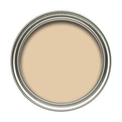Dulux 50ml Vinyl Matt Biscotti