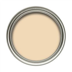 Dulux 50ml Vinyl Matt Natural Harvest