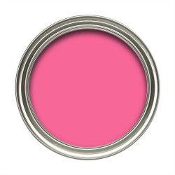 Fleetwood 75ml Cool Colours Pink Popsicle