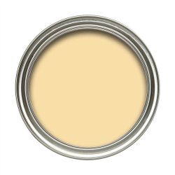 Dulux 50ml Easycare Washable Matt Falling Star