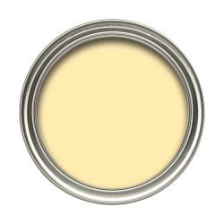 Dulux 50ml Light & Space Tropical Sun