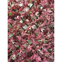 GreenFx 2m x 1m Artificial Hedge On Expanding Trellis - Red Acer