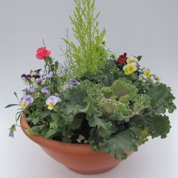 Medium Autumn/Winter Bowl