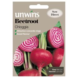 Beetroot Chioggia