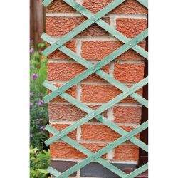 The Good Life Expandable Trellis 1.8 x1.2m Green